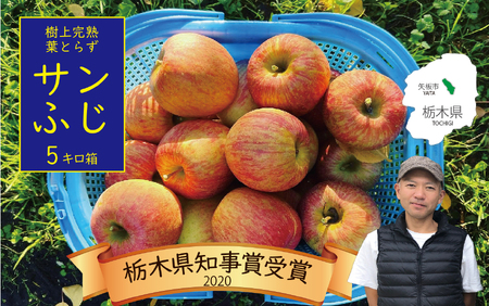 ㊮nEtƂ炸E [ Tӂ ] 5kg  |  ʕ t[c Tӂ Yn Ȗ،Y