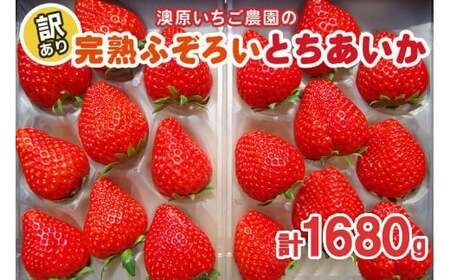 y1`4̊ԂŔz󂠂藱s Ƃ | 1,680g (280g×6P) | 