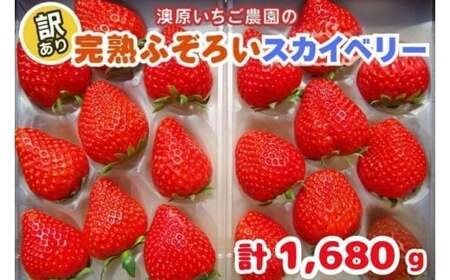 y1{`4̊ԂŔz󂠂藱s XJCx[ | 1,680g (280g×6P) | 