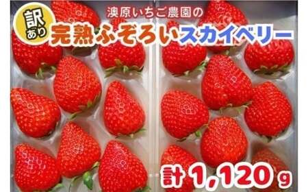 y1{`4̊ԂŔz󂠂藱s XJCx[ | 1,120g (280g×4P)  | 