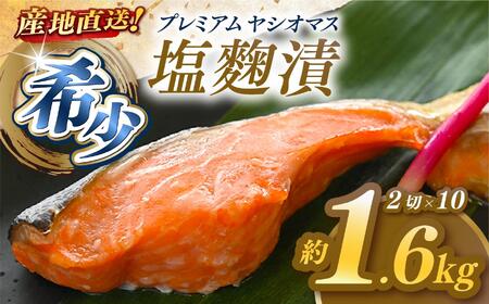 uv~AVI}Xv̉ 2ؓ×10pbN  [ Ⓚ ] |  ܂ {B Yn Ȗ،