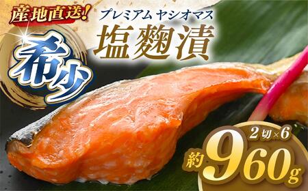 uv~AVI}Xv̉ 2ؓ×6pbN  [ Ⓚ ] |  ܂ {B Yn Ȗ،