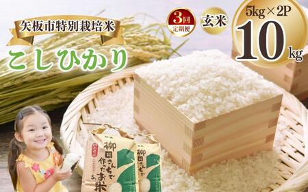 [3]sʍ͔| Ђ  5kg×2P |      ɂ̂߂ RVqJ Ђ  ٓ Iׂ GR X}[g  ԉ yÂ  ӂ邳