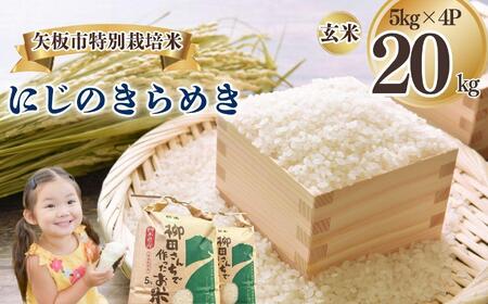 sʍ͔| ɂ̂߂  5kg×4P |      ɂ̂߂ RVqJ Ђ  ٓ Iׂ GR X}[g  ԉ yÂ  ӂ邳 [