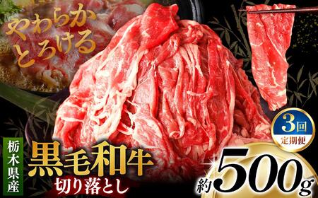 [定期便3回]栃木県産黒毛和牛切り落とし 500g