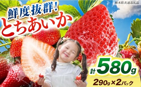 [ふるさと納税][期間限定] 鮮度抜群とちあいか 290g×2P 先行予約[栃木県共通返礼品]|栃木県産 矢板市産 フルーツ スイーツ デザート 果物 産地直送 栃木県 矢板市