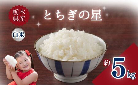 栃木県産とちぎの星 5kg | お米