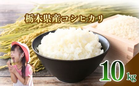 ��s���ʍ͔|�� �����Ђ��� ���� 10kg | ���� �� ���� ����  �R�V�q�J�� �����Ђ��� �������� ���ٓ� �I�ׂ� �ӂ邳�� �[�� �Ȗ،� ��s