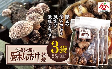 ������������ 3�܁b�Ȗ،� ��s �������� �ő� �Y�n����  ����