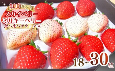 [1月より順次出荷]