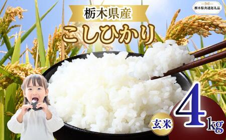 こしひかり 玄米 4kg  | 栃木県 矢板市