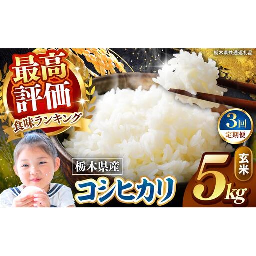 【定期便3回】栃木県産 こしひかり 玄米 5kg 2026年 先行予約 | 栃木県 矢板市