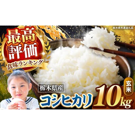 栃木県産 こしひかり 玄米 10kg 2026年 先行予約 | 栃木県 矢板市