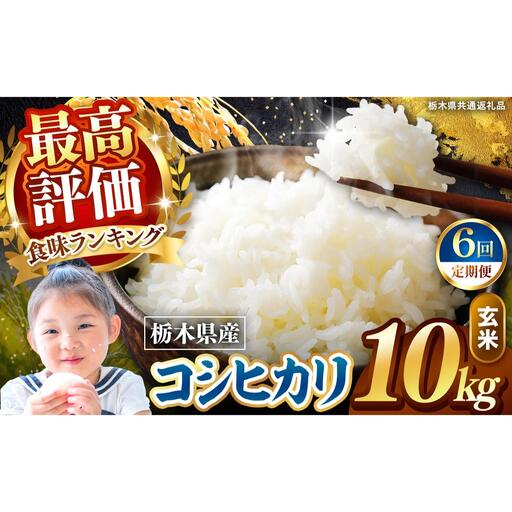 【定期便6回】栃木県産 こしひかり 玄米 10kg 2026年 先行予約 | 栃木県 矢板市