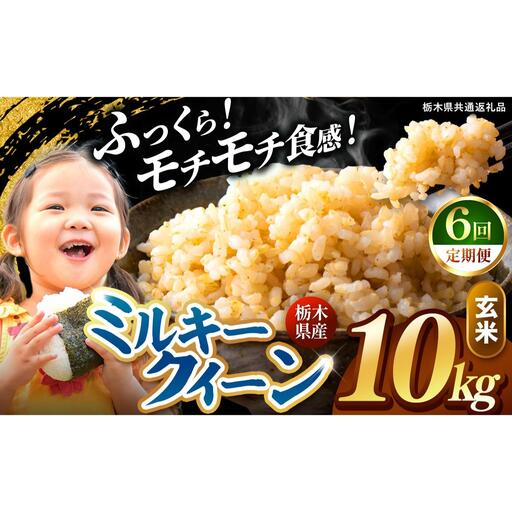 【定期便6回】栃木県産 ミルキークイーン 玄米 10kg 2026年 先行予約 | 栃木県 矢板市