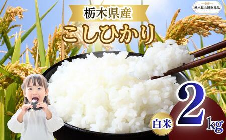 こしひかり 精米 2kg | 栃木県 矢板市