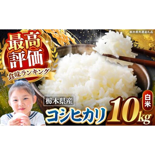 栃木県産 こしひかり 白米 10kg 2026年 先行予約 | 栃木県 矢板市