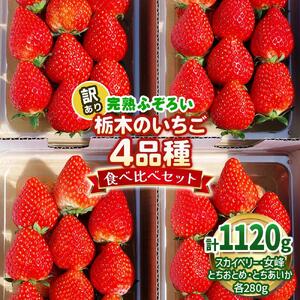 栃木のいちご 4品種食べ比べセット | 1120g |とちあいか とちおとめ スカイベリー 女峰 いちご 苺 フルーツ 果物 レビューキャンペーン対象 栃木県 矢板市