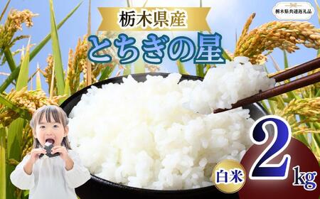 とちぎの星 精米 2kg | 栃木県 矢板市