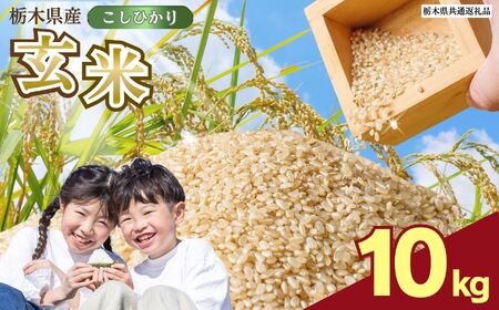 数量限定！お米 こしひかり 玄米 10kg 栃木県 矢板市