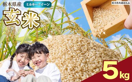 数量限定！お米 ミルキークイーン 玄米 5kg 栃木県 矢板市