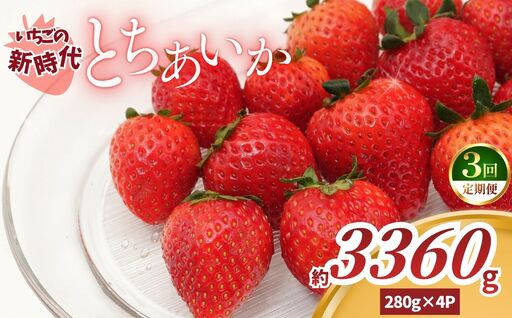 【2027年 先行予約】【定期便3回】いちごの新時代「とちあいか」280g×4P×3回（合計3360g）｜栃木県 矢板市産