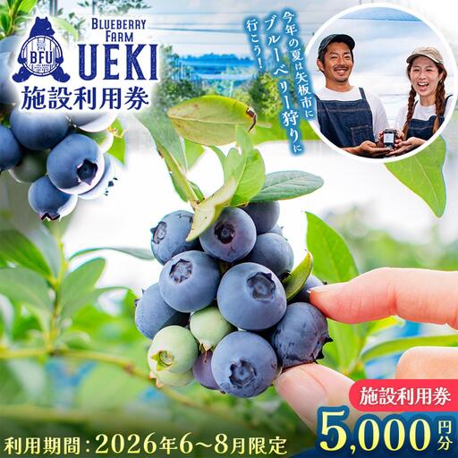 BULE BERRY FARM UEKI 施設利用券 5０００円分