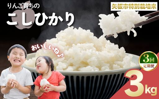 [定期便3回]お米 矢板市特別栽培米「コシヒカリ」りんご育ちの こしひかり 3kg