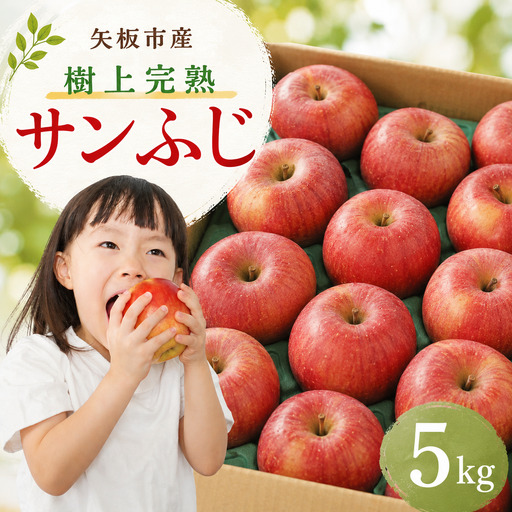 [数量限定]りんご 樹上完熟 サンふじ 5kg[2026年 先行予約]