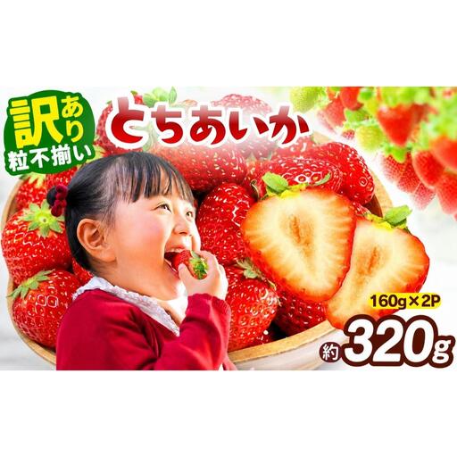 訳あり 粒不揃い とちあいか 320g (160g×2P) 【2027年先行予約】 いちご 苺 | 栃木県 矢板市