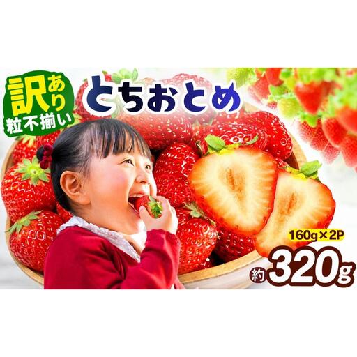 訳あり 粒不揃い とちおとめ 320g (160g×2P) [2027年先行予約] いちご 苺 | 栃木県 矢板市