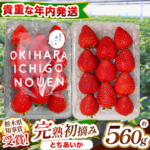 【先行予約】[数量限定] 貴重な12月発送！新定番「初摘み とちあいか」 280g×2P| 澳原いちご農園　栃木県 矢板市