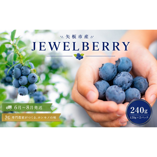矢板市産 完熟 ブルーベリー [JEWELBERRY] 240g(120g×2パック) [2026年6月〜8月発送] 栃木県 矢板市