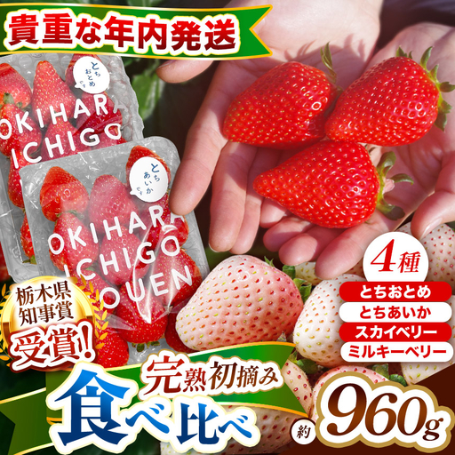【先行予約】貴重な12月発送！贅沢な栃木のいちご4種食べ比べセット 960g | とちあいか とちおとめ スカイベリー ミルキーベリー