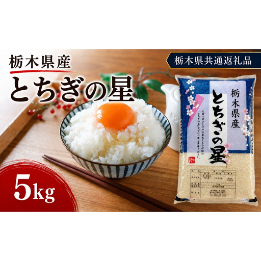 栃木県産 お米 白米 とちぎの星 5kg | 栃木県 矢板市 栃木県共通返礼品