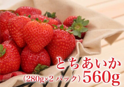 [2024年12月下旬から順次発送] 完熟朝摘み とちあいか 280g×2パックセット|いちご 苺 イチゴ とちあいか フルーツ 果物 産地直送 先行予約 [0594]