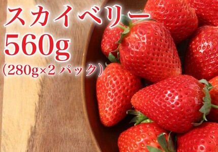 [2024年12月下旬から順次発送] 完熟朝摘み スカイベリー 280g×2パックセット｜いちご 苺 イチゴ スカイベリー フルーツ 果物 産地直送 先行予約 [0595]