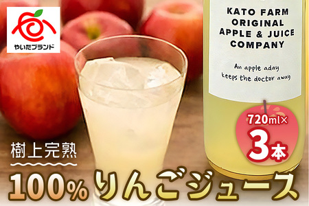 栃木県矢板市産 樹上完熟100%りんごジュース 720ml×3本入|林檎 リンゴ 果汁100% 産地直送 [0454]