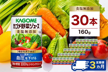 [定期便3ヵ月] カゴメ 野菜ジュース 食塩無添加 160g缶×30本 1ケース 毎月届く 3ヵ月 3回コース[ 栃木県 那須塩原市 ] ns001-020