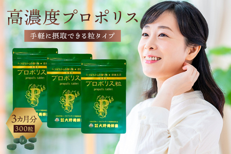 高濃度プロポリス粒　3カ月分　(100粒×3袋)【 サプリメント 栃木県 那須塩原市 】 ns008-023