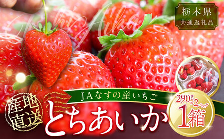 [数量限定]JAなすの産いちご 産地直送 とちあいか 1箱(290g×2パック)[栃木県共通返礼品] ns084-002 いちご フルｰツ 果物 品種 オリジナル 甘さ デザｰト ビタミンC 葉酸 ハｰト形