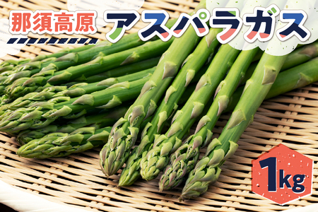 那須高原アスパラガス 野菜 アスパラガス 新鮮 アスパラ 朝どれ 旬 とれたて お取り寄せ 産地直送 春 青果 ns092-001