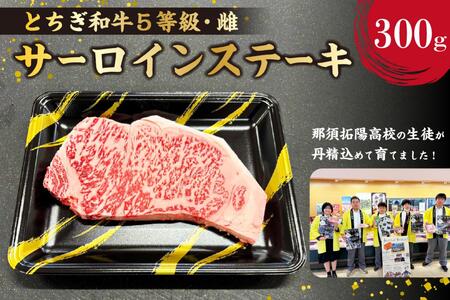 とちぎ和牛サーロインステーキ300g ns004-038 肉 牛肉 和牛 黒毛和牛 ブランド牛 とちぎ和牛 霜降り肉