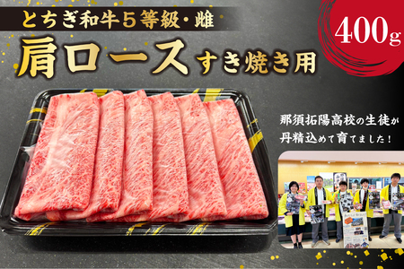 とちぎ和牛肩ロースすき焼き用400g ns004-039 牛肉 肉 食品 しゃぶしゃぶ 国産