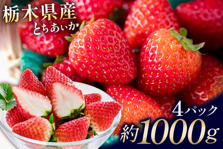 栃木県産　とちあいか4パック ns110-001-4 果物 ﾌﾙｰﾂ いちご ｲﾁｺﾞ とちあいか 苺 ｽﾄﾛﾍﾞﾘｰ 食品