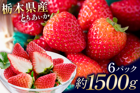 栃木県産 とちあいか6パック ns110-001-6 果物 フルｰツ いちご イチゴ とちあいか 苺 ストロベリｰ 食品