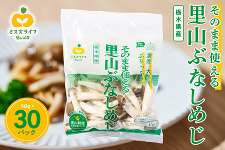 そのまま使える里山ぶなしめじ(栃木県那須工場産) ns086-001 きのこ 野菜 食品 濃厚 弾力 シメジ