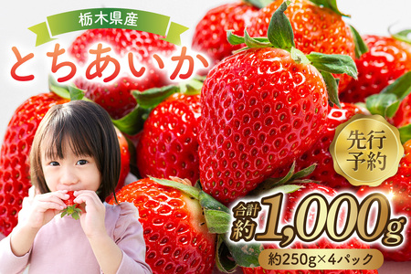 [先行予約]栃木県産 とちあいか約250g×4パック ns120-001 果物 いちご とちあいか オリジナル品種 甘味 香り 国産 ブランド フルｰツ