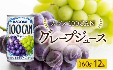 100CANグレープ160g×12 ns038-047 飲料 カゴメ ぶどうジュｰス セット フルｰツジュｰス