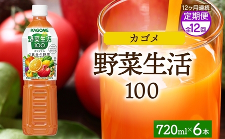 [定期便]12ヵ月連続野菜生活100 オリジナル 720mlPET ns038-065 飲料 カゴメ 野菜ジュｰス セット ミックスジュｰス